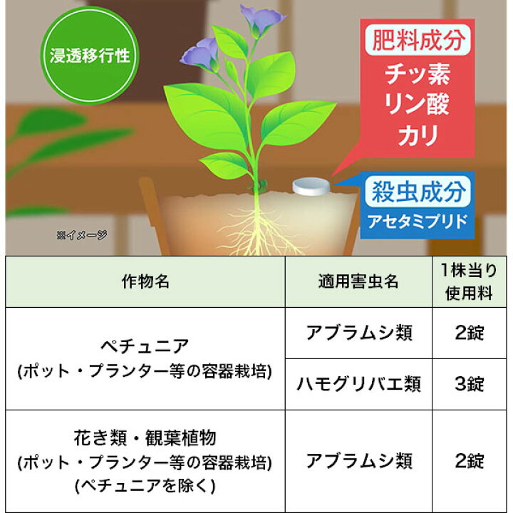 楽天市場 カダン殺虫肥料 1g フマキラー 害虫をよせつけないステキな肥料 アブラムシ予防 アセタミプリフド配合肥料 錠剤 家庭園芸用 肥料 殺虫剤 M6 イーハナス楽天市場店