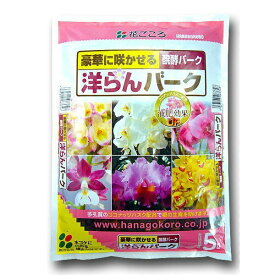 楽天市場 デンドロビウム 植え替え 用土の通販