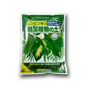 |{y ϗtA̓y 5L Ԃ |{y ϗtA y ϗtA |{y ϗtA |py ϗtAy  | ϗt y | y ϗtA Aւ y