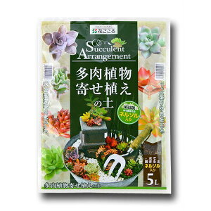 多肉植物寄せ植えの土 花ごころ 培養土 多肉植物の土 多肉植物 土 多肉植物 用土 多肉植物 培養土 多肉 土 ネルソル 赤玉土 鹿沼土 パーライト 園芸用土
