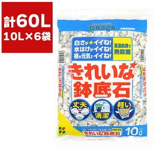 ꂢȔ 10L×6 Ԃ      v^[  ƒ뉀|  ƒ؉  |  zCgXg[ lH y