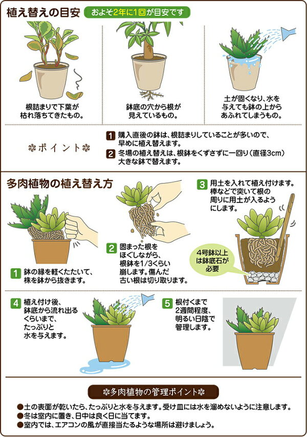楽天市場 土 観葉 室内 多肉植物 ミニ観葉の土 0 5l 花ごころ イーハナス楽天市場店