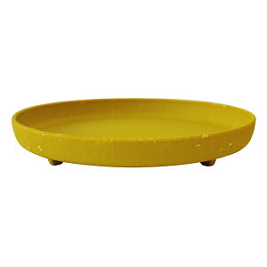 psG GRv[g ی^ }X^[h 6  M AEgbg