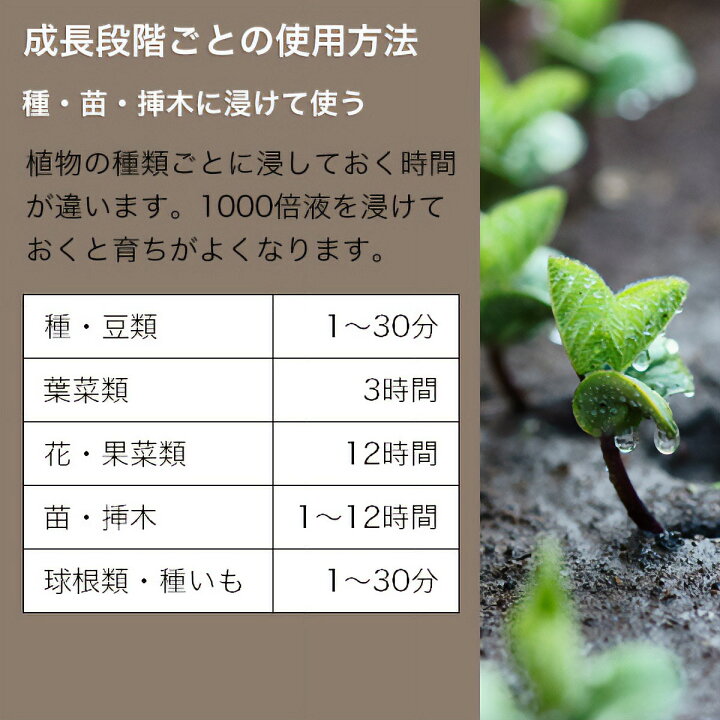 Hb 101 1l フローラ 15ccおまけつき 植物を超元気にする 活力液 Hb 101 1l フローラ 15ccおまけつき 植物を超元気にする 活力液