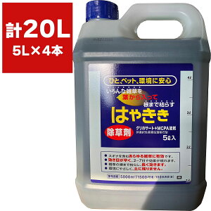  ͂₫ 5L×4{ n[g   Ɩp  ͂₫  ͂  OzT[g  t  WFlbN