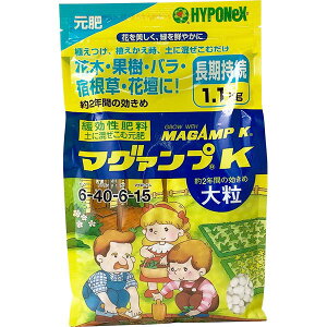 엿 }O@vK 嗱 1.1kg nC|lbNX 엿  엿 Ő 엿  엿  엿 o 엿 o̔엿 Ő̔엿 엿 ؔ엿 Ɍ엿