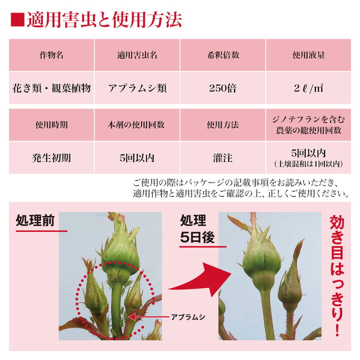 ハイポネックスジャパン 液体肥料 バラ 薔薇 殺虫効果 2021年新商品 ブリリアントガーデン ハイポネックス原液殺虫剤入り 430ml 格安 価格でご提供いたします ハイポネックスジャパン 液体肥料 バラ 薔薇 殺虫効果 2021年新商品 ブリリアントガーデン ハイポネックス原液殺虫剤入り 430ml 格安 価格でご提供いたします