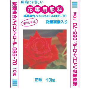 엿 @l nCRg[ 085 10kg 70^Cv WFCJAO 엿 Ήp 엿 Ԗ 엿 10kg 엿 핢엿 엿 Ɩp 엿