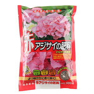 엿 ԃAWTC̔엿 600g JOYAOX 엿 AWTC 엿 AJ 엿 z 엿 AJ엿 AWTC̔엿 AEgbg