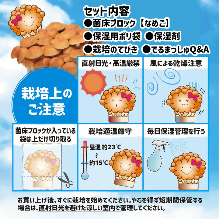 楽天市場】菌床キノコ 栽培セット でるまっしゅ なめこ しいたけ 品種 