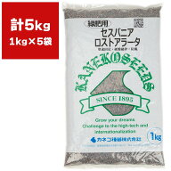 セスバニア セスバニアロストアラータ 5kg (1kg×5袋) カネコ種苗 緑肥 種 緑肥 種子 緑肥 業務用 種子 …