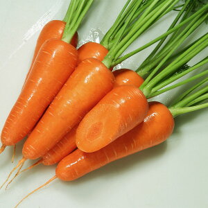 ��e�� �c���� �J�l�R��z �ЂƂ݌ܐ� �j���W�� 2dl �J�l�R��c ��� �� ��� ��q �l�Q �� �l�Q ��q ��؂̎� ��؂̎�q ��؎�