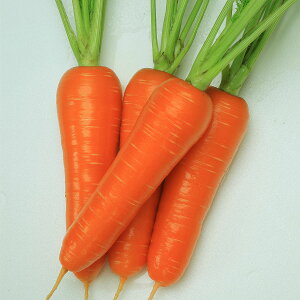 e c JlRz ݌ܐ jW 2dl JlRc    q ɂ񂶂  jW  lQ  ؂̎ ؎q