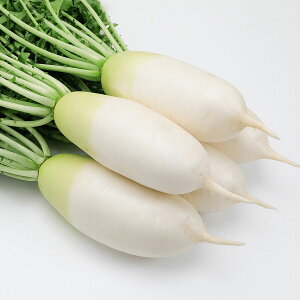 e c JlRz Z _CR 10000 JlRc   卪  q   卪̎ ؎ ؂̎  _CR 