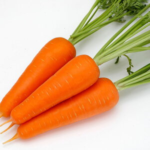 e c JlRz g() jW 2dl JlRc    q ɂ񂶂  jW  lQ  ؂̎ ؎q