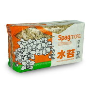 圧縮水苔 洋ラン 植替え シンビジウム 植替え 乾燥防止 観葉植物 乾燥防止 オモト 植替え 水苔 観葉植物 …