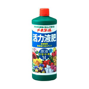 lf[ SAp ͉t쌴t 1L 엿  엿  엿 ϗtA 엿 1L 엿 t  t  t ϗtA t 1L t t̔엿