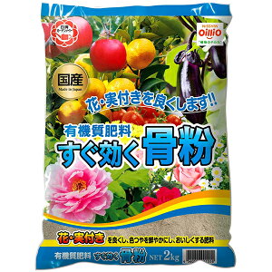 엿 Y  2kg K[fCg 엿  엿  엿 ʎ 엿  엿 ؔ엿 Ԃ̔엿 L@엿  L@엿  L@엿