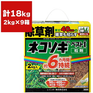  lR\MxXg I ()  2kg×8 C{[i     Ɩp  lR\M  Ɩp    u}V