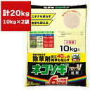 除草剤 ネコソギブロックV 粒剤 10kg ×2袋 レインボー薬品 除草剤 ネコソギ 除草剤 エースV 後継品 ブロックV 除草剤…