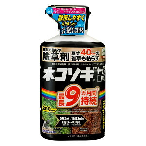 i摜