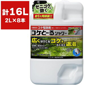  RPƁ[V[ 2L×8{ C{[i  RP 쏜  RPƁ[  t  RP쏜 [jSP 