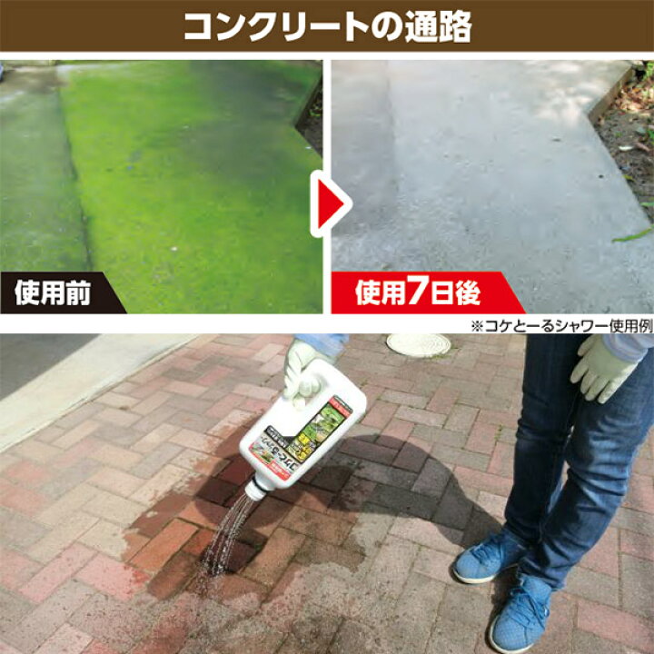 楽天市場 コケとーるシャワー 1 2l レインボー薬品 ナメクジに忌避効果 コケ駆除剤 除草剤 イーハナス楽天市場店 楽天市場 コケとーるシャワー 1 2l レインボー薬品 ナメクジに忌避効果 コケ駆除剤 除草剤 イーハナス楽天市場店