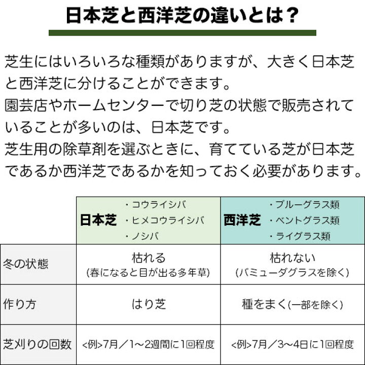 楽天市場 まとめ買い 4箱入 シバキーププラスv 4kg レインボー薬品 バラバラまくだけトリプル効果 除草剤 シバキーププラスaの後継品 イーハナス楽天市場店