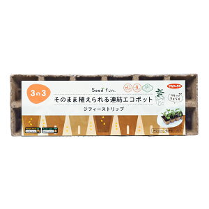 WtB[Xgbv ̂܂ܐAAGR|bg 5cm TJ^̃^l Seedfun A炭炭 K[fpi