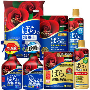 }C[Y ô7_Zbg KINCHO| o 엿 o E o Eۍ o ͉t o |{y o py o̔엿 o엿 o Q ΍