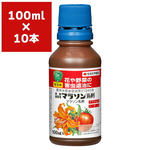 E }\ 100ml×10{ KINCHO| E _ }\  E AuV E n_j E Qގ Q 쏜 Q ΍ Q h