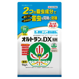オルトラン オルトランDX 粒剤 1kg KINCHO園芸 殺虫剤 農薬 オルトラン 殺虫剤 アブラムシ 殺虫剤 コガネムシ 殺虫剤 粒剤 殺虫剤 害虫 退治 害虫 駆除