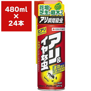 E AAg[GA][ 480ml×24{ KINCHO| E A E qA E JV E A 쏜 qA 쏜 A ΍ qA ΍