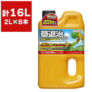  ގV[Ch 2L×8{ KINCHO|    OzT[g  t  ގ  Gh G ގ  ގ