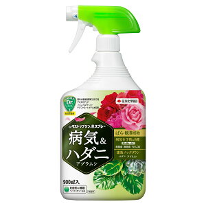 EEۍ GF XgbvW RXv[ 900ml KINCHO| E _ E AuV E Eۍ _ Eۍ ǂ񂱕a Eۍ aQ \h