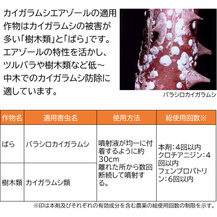 住友化学園芸 カイガラムシエアゾール ガイガラムシ類 殺虫剤 防除 退治 殺虫 480ml 害虫
