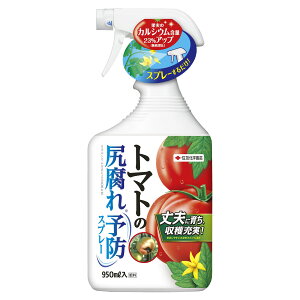 �엿 �g�}�g�̐K����\�h�X�v���[ 950ml KINCHO���| �엿 ��� �엿 �g�}�g �엿 �J���V�E�� �엿 �g�}�g ����엿 �J���V�E�� ����엿 �J���V�E���엿