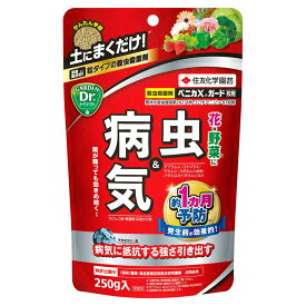 ベニカXガード粒剤 250g 住友化学園芸 虫＆病気 発生前の予防が効果的 殺虫殺菌剤 M3