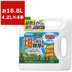  O[XLbgV[ 4.2L×4{ KINCHO|  OzVl[g  t OzVl[gt  t    G΍