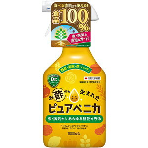 |琶܂ꂽ sAxjJ 1000ml KINCHO| Q \h Q ގ AuV ގ aC \h ǂ񂱕a \h Q  iNW 
