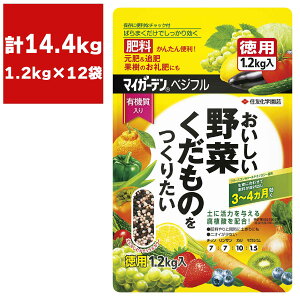 엿 }CK[fxWt 1.2kg×12 KINCHO| 엿  엿 ʎ 엿    ǔ ؔ엿 ؂̔엿 Ɍ엿 A_ 엿