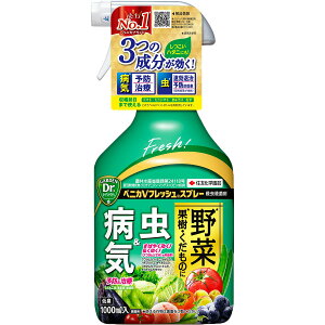 xjJVtbVXv[ 1000ml KINCHO| E ђ E xjJ E JV E JV ΍ aC \h a \h EEۍ