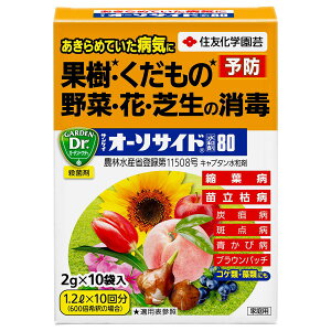 TPC I[\TCha80 2g×10 KINCHO| A Eۍ Ő Eۍ  Eۍ Ő aC \h Ő aC ΍ Lv^a _ Eۍ M6