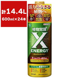 X-ENERGY 600ml×24{ KINCHO| Ao GbNXGiW[ A ͉t ϗtA ͉t  ͉t A  A  yP A͉t