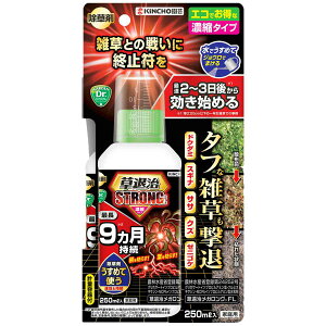 ������ ���ގ��X�g�����O �Z�k�^�C�v 250ml KINCHO���| ������ ���� ������ �O���z�T�[�g ������ �t�� ������ �t�� ������ ���ގ� ������ �G���΍� �G���h��