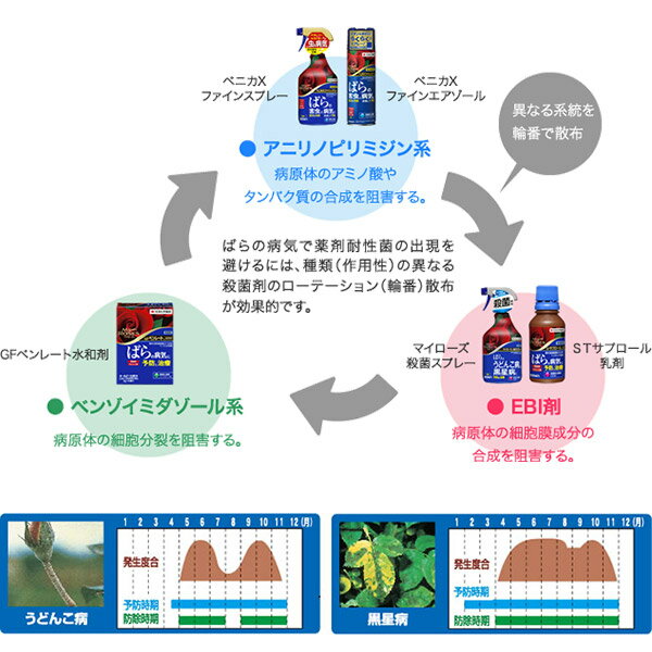 楽天市場 殺虫剤 バラ 害虫 マイローズベニカxファインエアゾール 450ml 住友化学園芸 イーハナス楽天市場店
