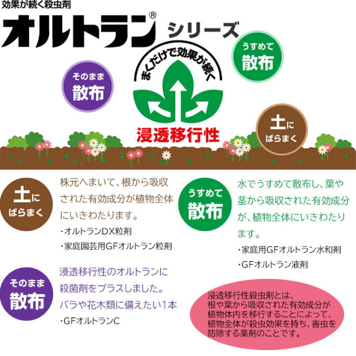 楽天市場 Gfオルトラン粒剤 0g 住友化学園芸 ばらまくだけで広範囲の害虫に効果が持続 殺虫剤 イーハナス楽天市場店