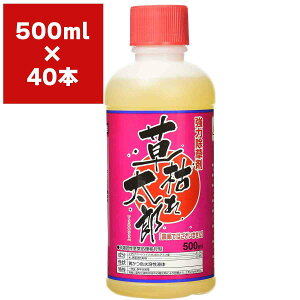 ������ ���͂ꑾ�Y 500ml×40�{ �V���Z�C ������ ���� �Ɩ��p ������ �O���z�T�[�g ������ �t�� ������ �t�� ���� ������ ���͏����� ���͂ꑾ�Y ������