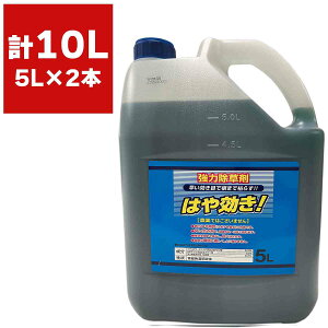  ͂ 5L×2{ VZC   Ɩp  OzT[g  t  t  ͂₫  ͏ t  t