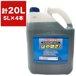  ͂ 5L×4{ VZC   Ɩp  20L OzT[g  t  t  ͂₫  ͏ t  t